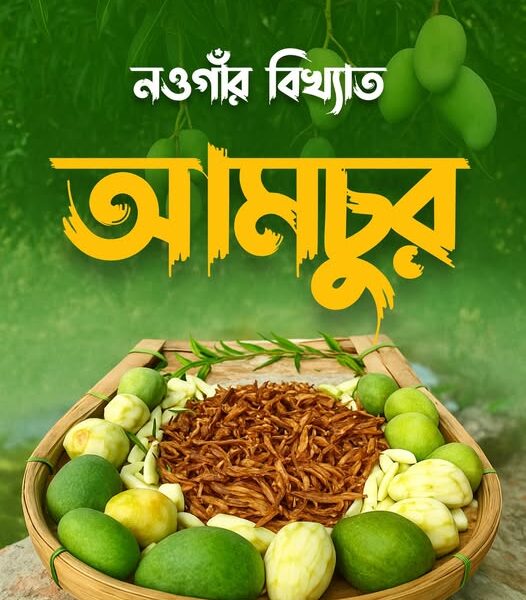 টক স্বাদের আমচুর
