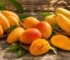 Discover comprehensive insights about brain health & vitamin b6. Expert articles on fruit health, nutrition, sustainability, and business.